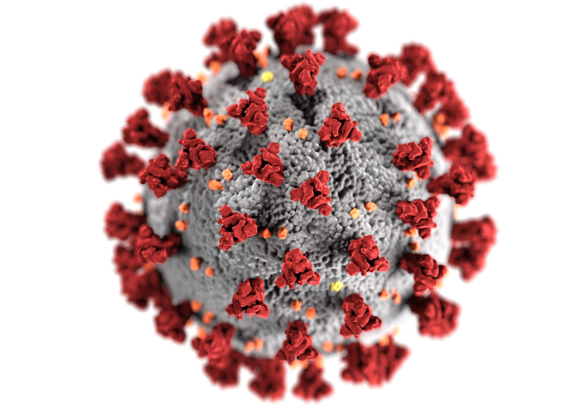 COVID-19 virus picture