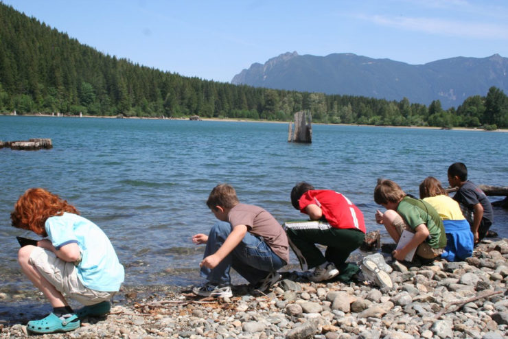 Students collect water samples at the shore of a lake. 
