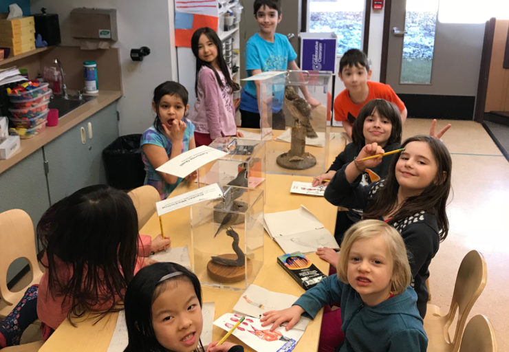 Students in a classroom gather around animal artifacts.