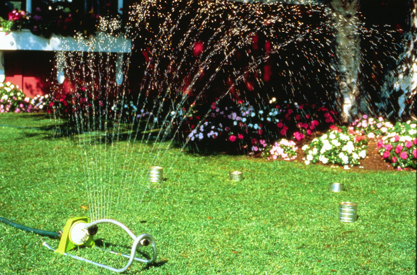 How Long to Water Garden With Sprinkler: Expert Tips Revealed