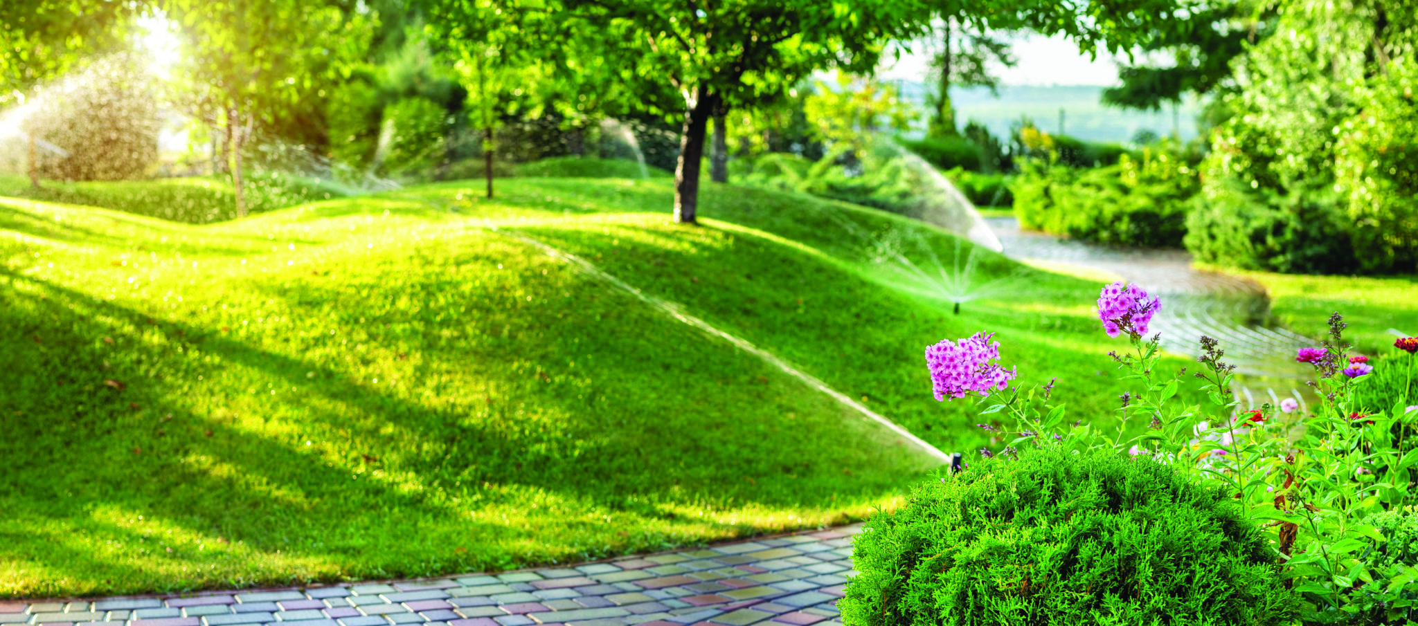 Automatic garden watering system with different sprinklers installed under turf. Landscape design with lawn hills and fruit garden irrigated with smart autonomous sprayers at sunset evening time.