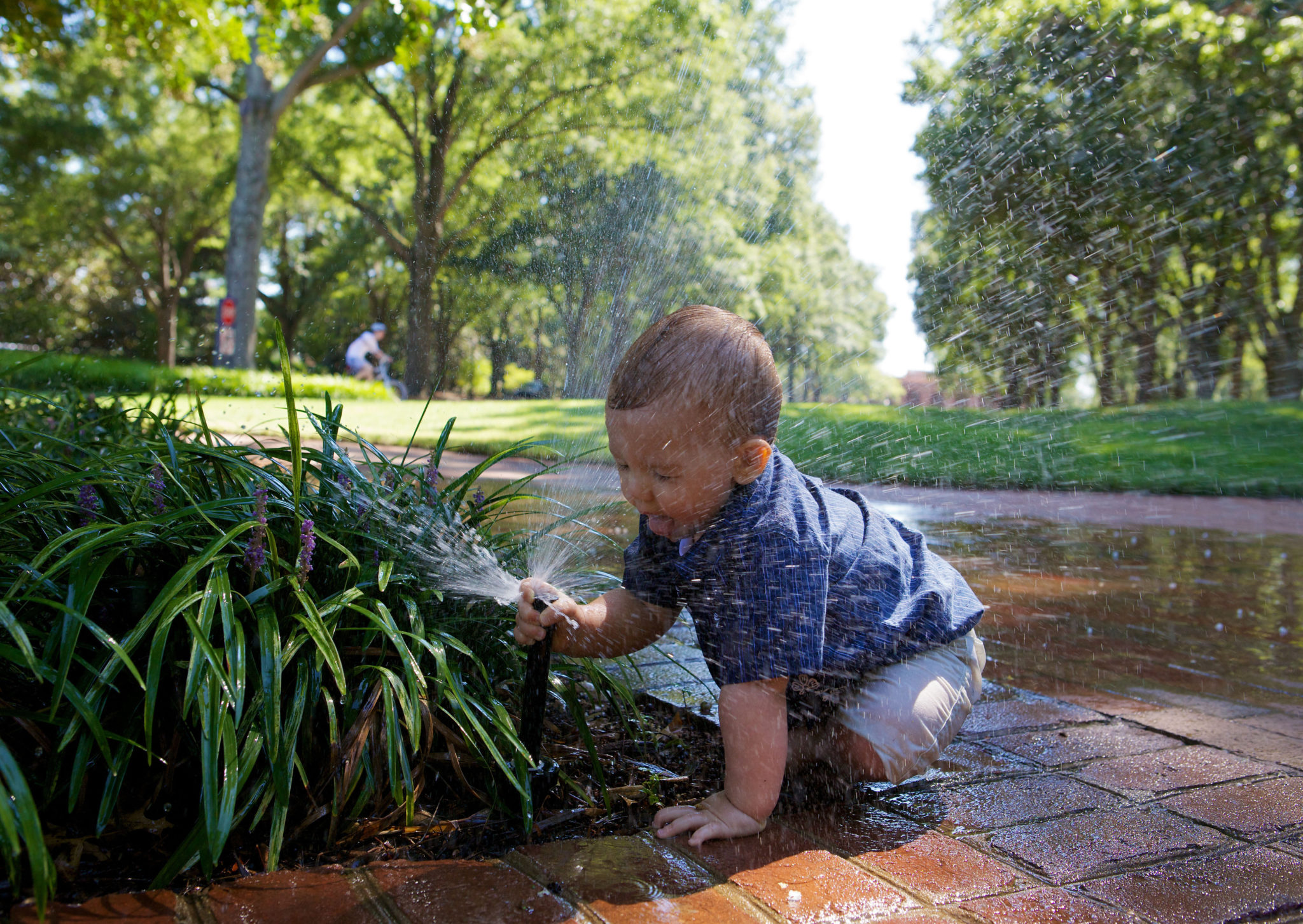 Little boy playing with a lawn sprinkler