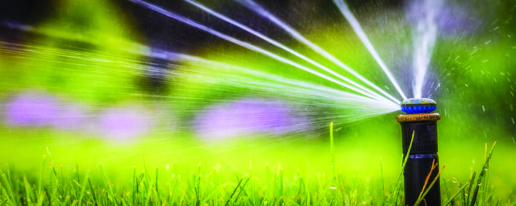 A close-up of a sprinkler head spraying water