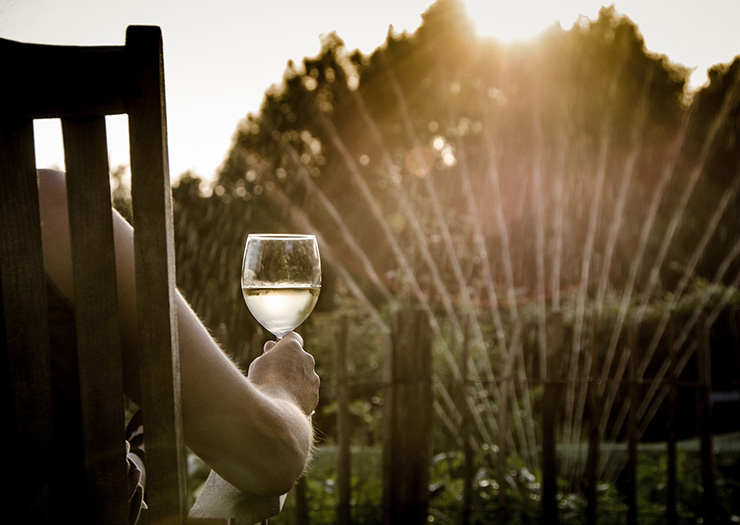 watching the sunset over a a garden with a sprinkler running.