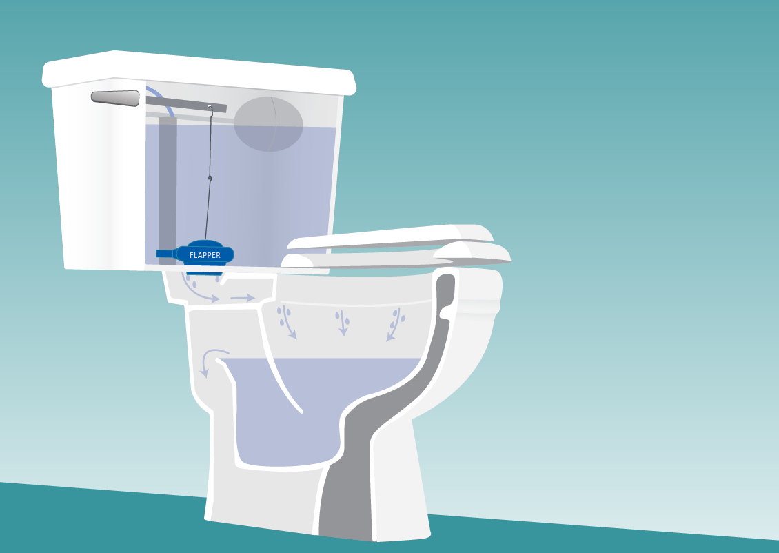 Drawing of a toilet showing how the water flows from the tank into the bowl