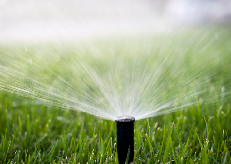An automictic sprinkler head sprays water over green grass. 