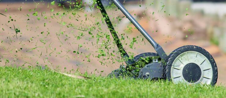 A closeup of a lawn mowing and grass clippings