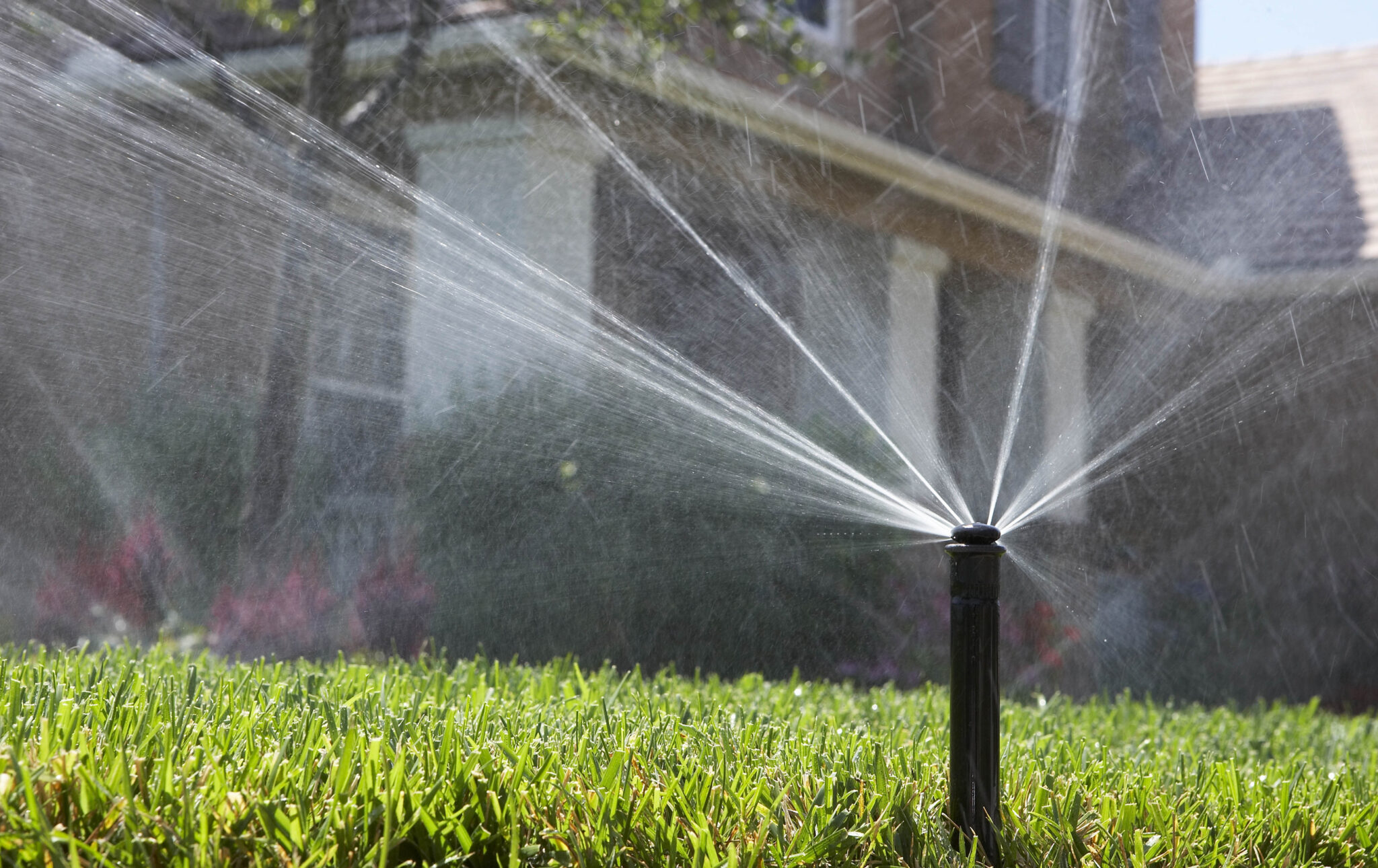 Weekly Watering Schedules | Saving Water Partnership